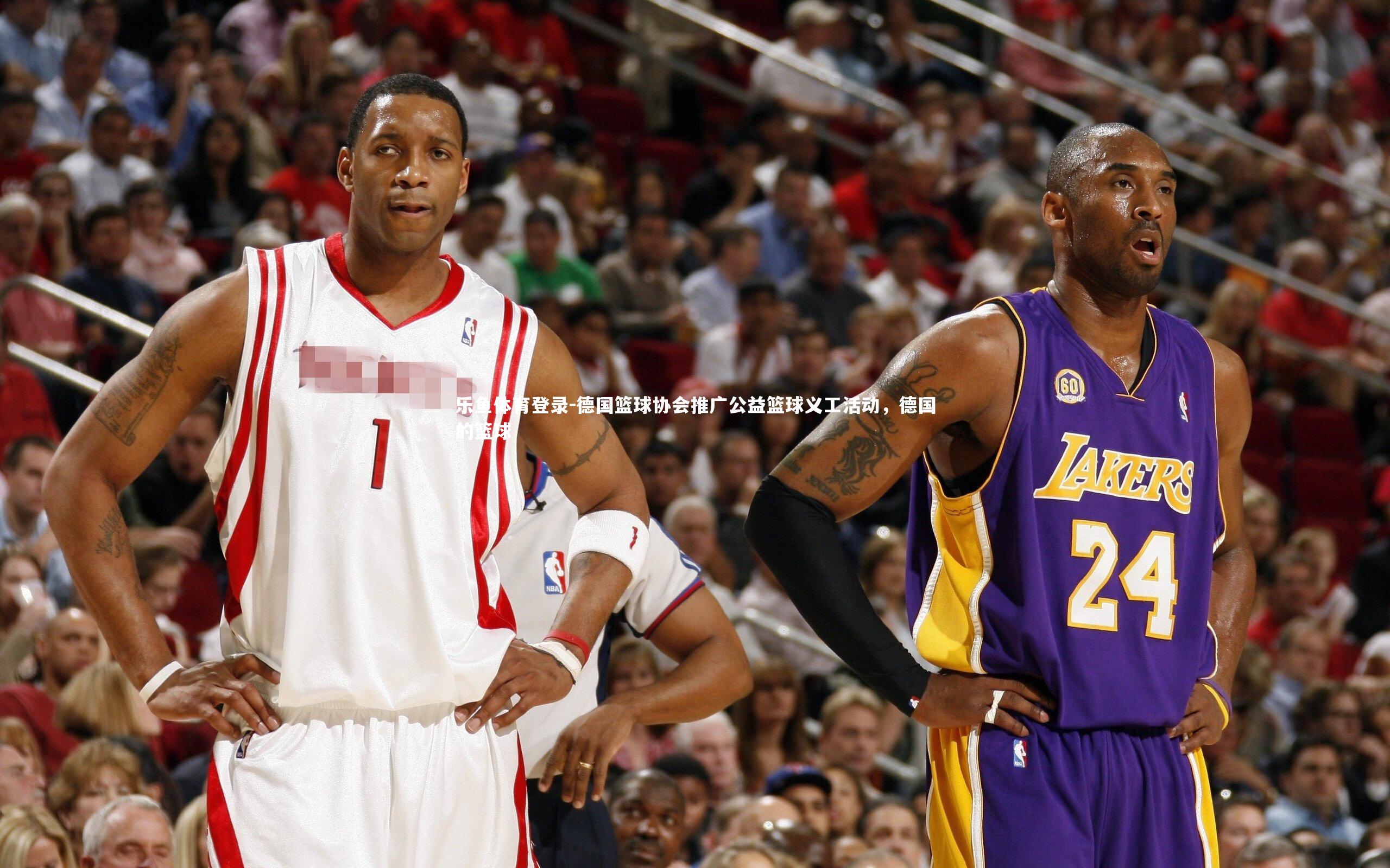 德国篮球协会推广公益篮球义工活动,德国的篮球