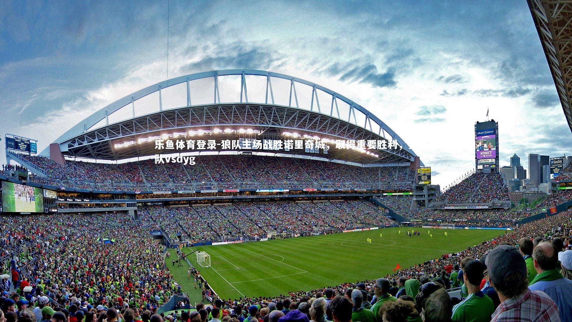 狼队主场战胜诺里奇城,取得重要胜利,狼队vsdyg