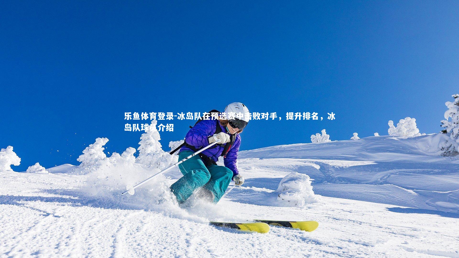 冰岛队在预选赛中击败对手，提升排名，冰岛队球员介绍